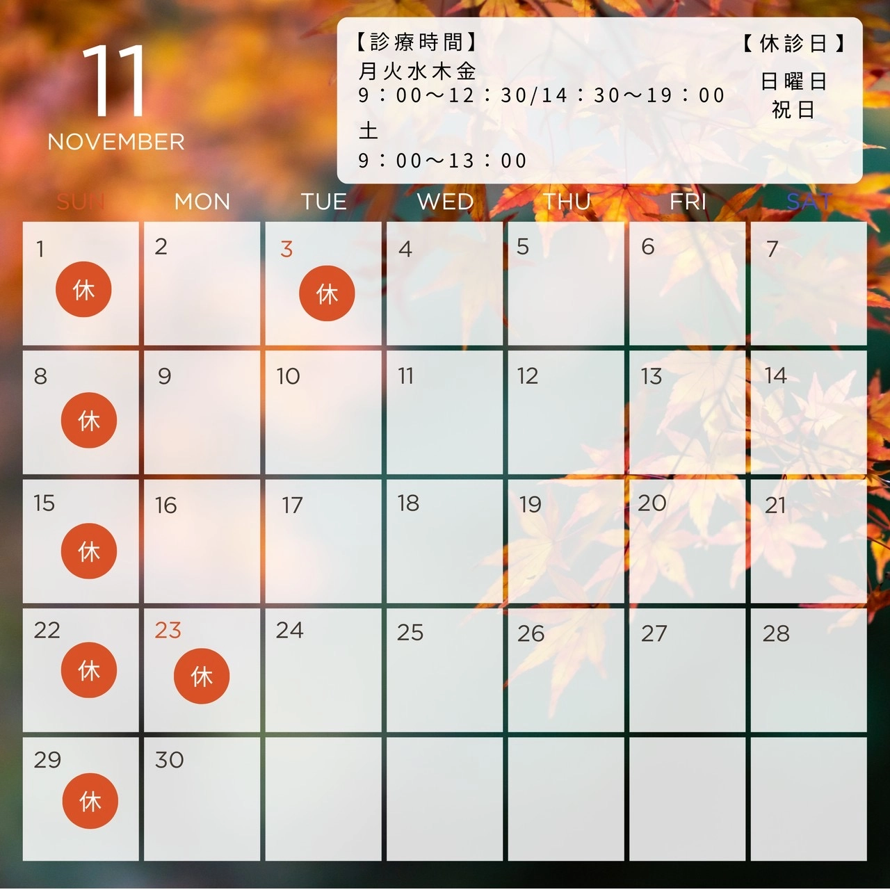 11月の診療スケジュール